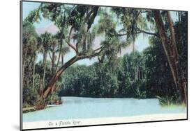 Florida - View of a Florida River-Lantern Press-Mounted Art Print