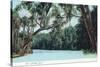 Florida - View of a Florida River-Lantern Press-Stretched Canvas