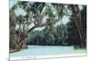 Florida - View of a Florida River-Lantern Press-Mounted Premium Giclee Print