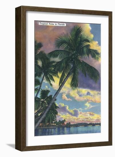 Florida - View of a Palm During Sunset-Lantern Press-Framed Art Print