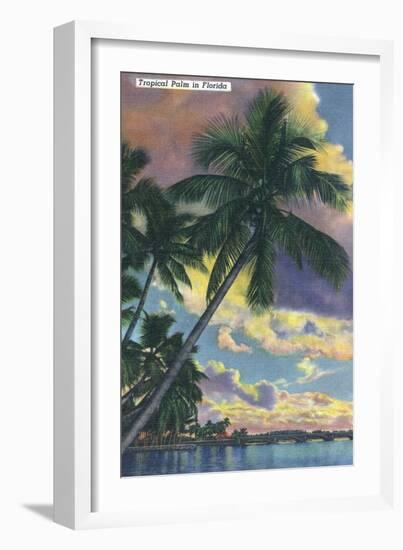 Florida - View of a Palm During Sunset-Lantern Press-Framed Art Print