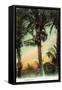 Florida - View of Coconuts in Tree-Lantern Press-Framed Stretched Canvas