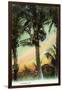 Florida - View of Coconuts in Tree-Lantern Press-Framed Art Print