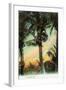 Florida - View of Coconuts in Tree-Lantern Press-Framed Art Print