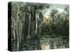 Florida - View of Pond Lilies and Hanging Moss-Lantern Press-Stretched Canvas