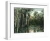 Florida - View of Pond Lilies and Hanging Moss-Lantern Press-Framed Art Print