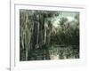 Florida - View of Pond Lilies and Hanging Moss-Lantern Press-Framed Art Print