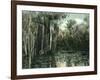 Florida - View of Pond Lilies and Hanging Moss-Lantern Press-Framed Art Print