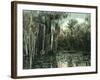 Florida - View of Pond Lilies and Hanging Moss-Lantern Press-Framed Art Print