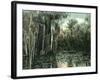 Florida - View of Pond Lilies and Hanging Moss-Lantern Press-Framed Art Print