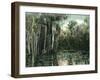 Florida - View of Pond Lilies and Hanging Moss-Lantern Press-Framed Art Print