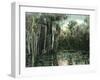 Florida - View of Pond Lilies and Hanging Moss-Lantern Press-Framed Art Print