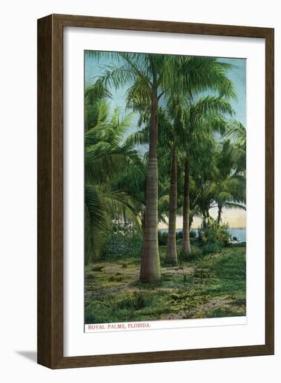 Florida - View of Royal Palms-Lantern Press-Framed Art Print