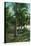 Florida - View of Royal Palms-Lantern Press-Stretched Canvas