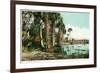 Florida - View of Swamps and Palms-Lantern Press-Framed Art Print