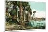 Florida - View of Swamps and Palms-Lantern Press-Mounted Art Print