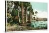 Florida - View of Swamps and Palms-Lantern Press-Stretched Canvas