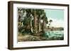 Florida - View of Swamps and Palms-Lantern Press-Framed Art Print