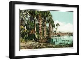 Florida - View of Swamps and Palms-Lantern Press-Framed Art Print