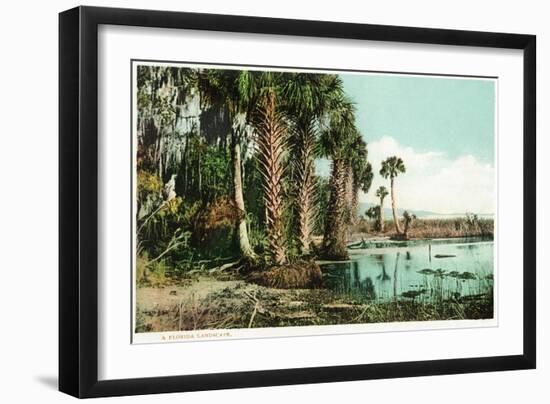 Florida - View of Swamps and Palms-Lantern Press-Framed Art Print