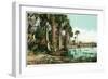 Florida - View of Swamps and Palms-Lantern Press-Framed Art Print