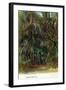 Florida - View of Trees with Spanish Moss-Lantern Press-Framed Art Print