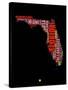 Florida Word Cloud 1-NaxArt-Stretched Canvas