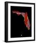 Florida Word Cloud 1-NaxArt-Framed Art Print