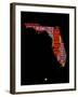 Florida Word Cloud 1-NaxArt-Framed Art Print