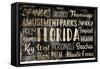 Florida Words-Jace Grey-Framed Stretched Canvas