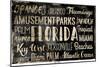 Florida Words-Jace Grey-Mounted Premium Giclee Print