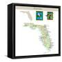 Florida-IndianSummer-Framed Stretched Canvas