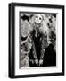 Florida-Stuart Murchison-Framed Premium Photographic Print