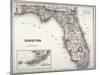 Florida-null-Mounted Giclee Print