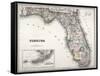 Florida-null-Framed Stretched Canvas