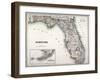 Florida-null-Framed Giclee Print