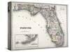 Florida-null-Stretched Canvas
