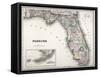 Florida-null-Framed Stretched Canvas