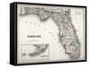 Florida-null-Framed Stretched Canvas