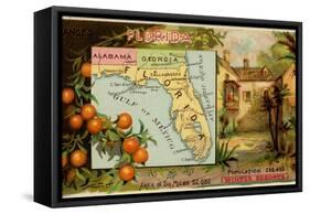 Florida-Arbuckle Brothers-Framed Stretched Canvas