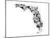 Florida-Jace Grey-Mounted Art Print