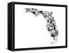 Florida-Jace Grey-Framed Stretched Canvas