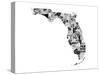 Florida-Jace Grey-Stretched Canvas