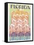 Florida-David Chestnutt-Framed Stretched Canvas
