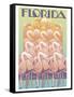 Florida-David Chestnutt-Framed Stretched Canvas