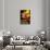 Florio Cinzano Vintage Poster - Europe-Lantern Press-Stretched Canvas displayed on a wall