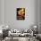Florio Cinzano-null-Stretched Canvas displayed on a wall