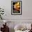 Florio Cinzano-null-Framed Giclee Print displayed on a wall