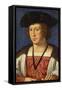 Floris Van Egmond (1469-153), Count of Buren, 1536-Jan Gossaert-Framed Stretched Canvas