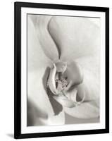 Florison 22-Alan Blaustein-Framed Photographic Print